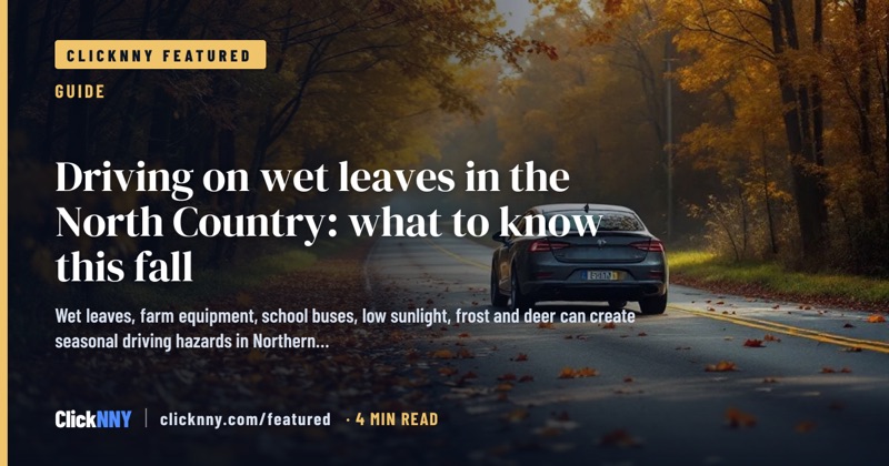 ClickNNY featured guide cover: Driving on wet leaves: what to know this fall